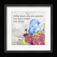 Bloom & Fly II Fine Art Print