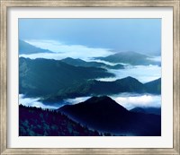 Misty Mountains XIV Fine Art Print