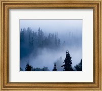 Misty Mountains XV Fine Art Print