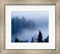 Misty Mountains XV Fine Art Print
