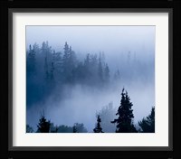 Misty Mountains XV Fine Art Print