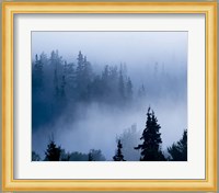 Misty Mountains XV Fine Art Print