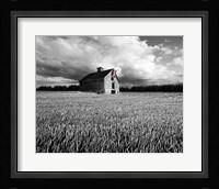 Flags of Our Farmers XIII Fine Art Print