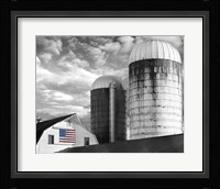 Flags of Our Farmers II Fine Art Print