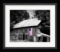 Flags of Our Farmers III Fine Art Print