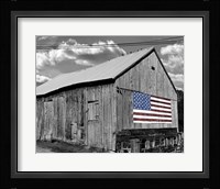 Flags of Our Farmers IV Fine Art Print