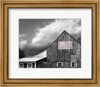 Flags of Our Farmers VII Fine Art Print