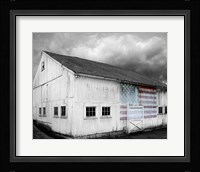 Flags of Our Farmers VIII Fine Art Print