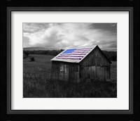 Flags of Our Farmers XII Fine Art Print