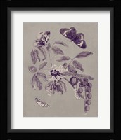 Nature Study in Plum & Taupe II Framed Print