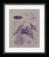 Nature Study in Plum & Taupe III Framed Print