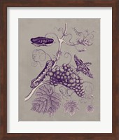 Nature Study in Plum & Taupe III Fine Art Print