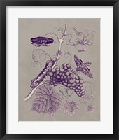 Nature Study in Plum & Taupe III Framed Print