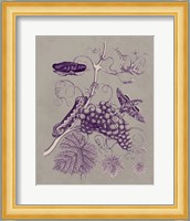 Nature Study in Plum & Taupe III Fine Art Print