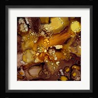 Chestnut Illumination II Framed Print