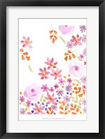 Blush Blooms II Framed Print