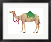 Festival Animal I Fine Art Print