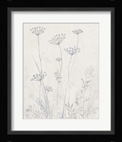 Neutral Queen Anne's Lace II Framed Print