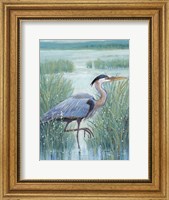 Wetland Heron I Fine Art Print