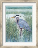Wetland Heron II Fine Art Print