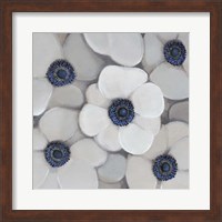 White Anemone I Fine Art Print
