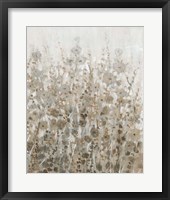 Early Fall Flowers II Fine Art Print