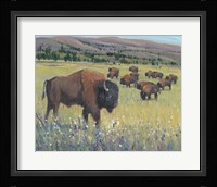 Animals of the West I Framed Print