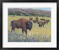 Animals of the West I Framed Print
