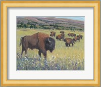 Animals of the West I Fine Art Print