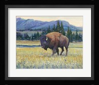 Animals of the West II Framed Print