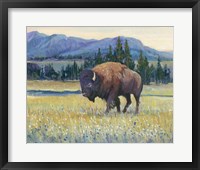 Animals of the West II Framed Print