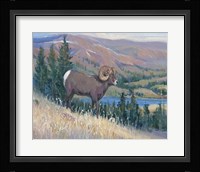 Animals of the West III Framed Print