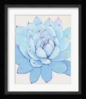 Pastel Succulent II Framed Print