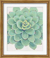 Pastel Succulent III Fine Art Print