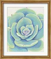 Pastel Succulent IV Fine Art Print
