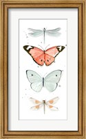 Summer Butterflies I Fine Art Print