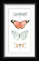 Summer Butterflies I Fine Art Print