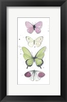Summer Butterflies II Fine Art Print