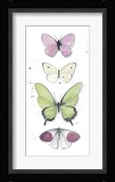 Summer Butterflies II Fine Art Print
