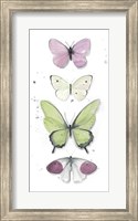 Summer Butterflies II Fine Art Print