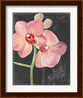 Chalkboard Flower I Fine Art Print