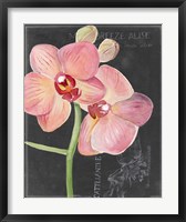 Chalkboard Flower I Fine Art Print