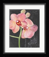 Chalkboard Flower I Framed Print