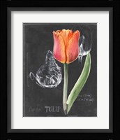 Chalkboard Flower III Framed Print