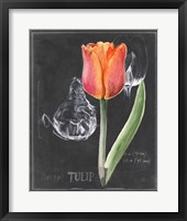 Chalkboard Flower III Framed Print