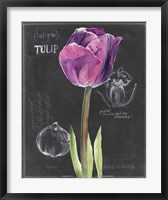Chalkboard Flower IV Fine Art Print