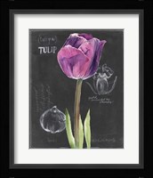 Chalkboard Flower IV Fine Art Print