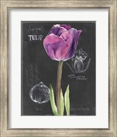 Chalkboard Flower IV Fine Art Print