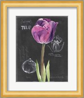 Chalkboard Flower IV Fine Art Print