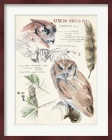 Wildlife Journals I Fine Art Print